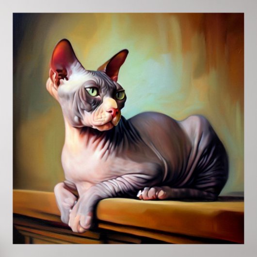 Don Sphynx Cat Poster (Vorne)