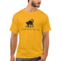 Don’t Interrupt the Chaos Cat Gadsden Flag Parody