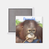 Donald Orangutan Magnet (Vorderseite/Rückseite)