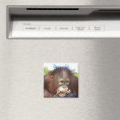 Donald Orangutan Magnet (In Situ (Geschirrspüler))