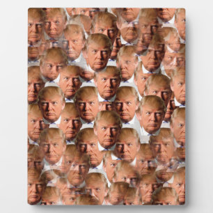 Donald Trompf Fotoplatte