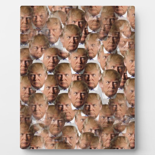 Donald Trompf Fotoplatte (Vorderseite)