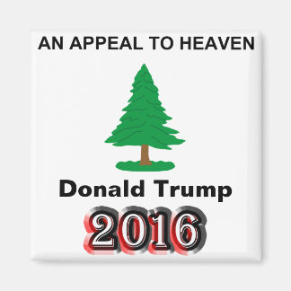 Donald Trump 2016 - Ein Appell an den Himmel Magnet