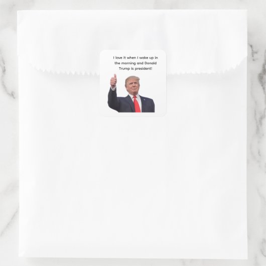 Donald Trump 2024 Quadratischer Aufkleber (Tasche)