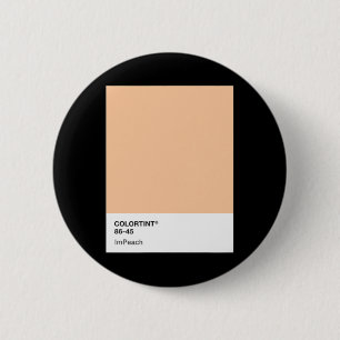 Donald Trump anklagen 45 - Farbpalette Button