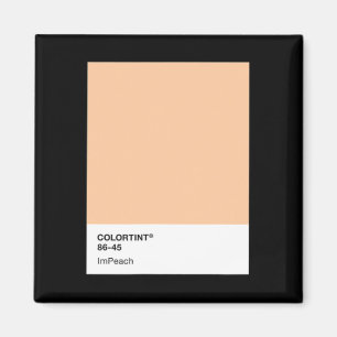 Donald Trump anklagen 45 - Farbpalette Magnet