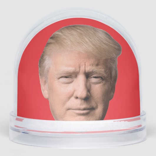 DONALD TRUMP CHRISTMAS SNOW GLOBE SCHNEEKUGELN (Vorderseite)