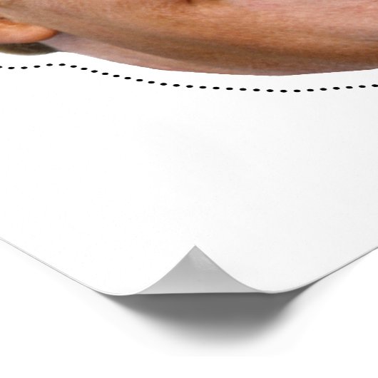 Donald Trump Costume Poster (Ecke)