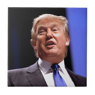 Donald Trump Fliese