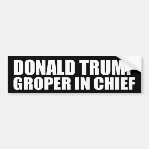 "DONALD TRUMP: GROPER IM LEITER " AUTOAUFKLEBER