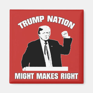 Donald Trump - KÖNNTE RICHTIG WERDEN Magnet