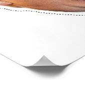 Donald Trump Mask Poster (Ecke)