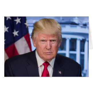 Donald Trump Offizielles Präsidentenportrait