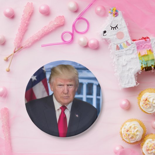 Donald Trump Offizielles Präsidentenportrait Pappteller (Party)