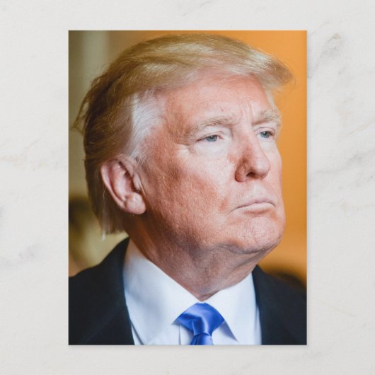 Donald Trump-Portrait Postkarte (Vorderseite)