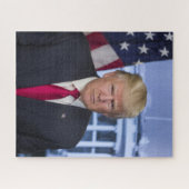 DONALD TRUMP PUZZLE (Horizontal)