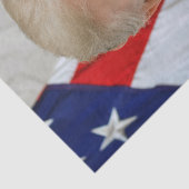 Donald Trump US-Präsident Weiße Haus MAGA 2024 Seidenpapier (Detail)