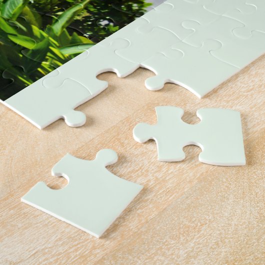 Donaureise Puzzle (Seite)