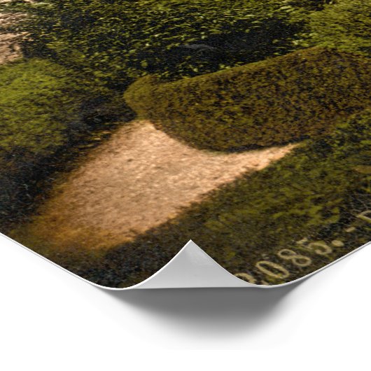 Donegal Castle, Landkreis Donegal Poster (Ecke)