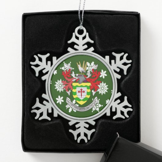 Donegal Ireland Wappen Irish Schneeflocken Zinn-Ornament (Box)