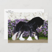 "Donegal" Postkarte (Vorne/Hinten)