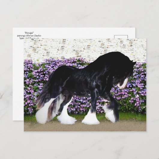 "Donegal" Postkarte (Vorne/Hinten)