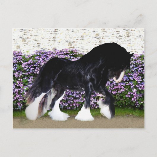 "Donegal" Postkarte (Vorderseite)