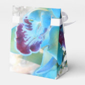 Donella Geschenkschachtel (Rückseite)
