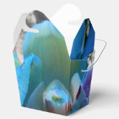 Donella Geschenkschachtel (Geöffnet)