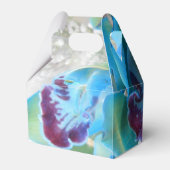 Donella Geschenkschachtel (Rückseite)