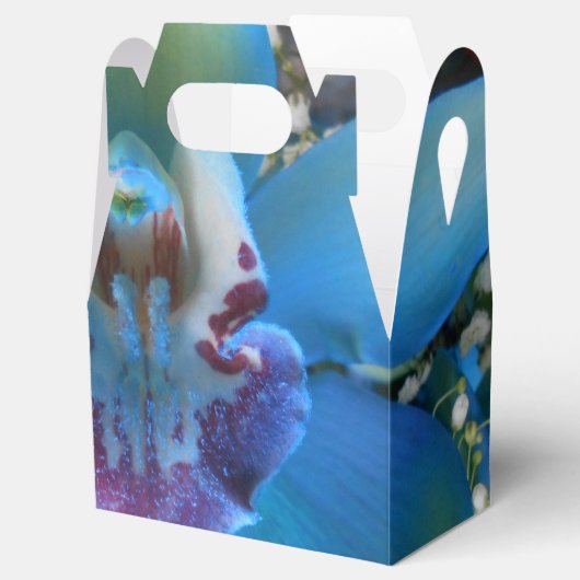 Donella Geschenkschachtel (Geöffnet)