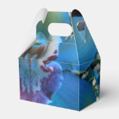 Donella Geschenkschachtel (Vorderseite)