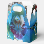 Donella Geschenkschachtel (Geöffnet)
