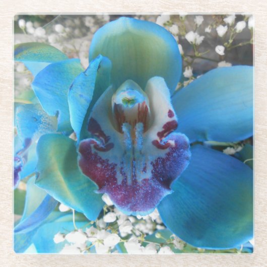 Donella Glasuntersetzer (Vorderseite)