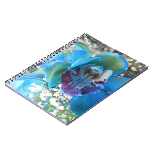 Donella Notizblock (Linke Seite)