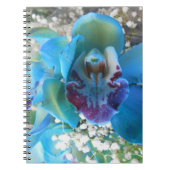 Donella Notizblock (Vorderseite)