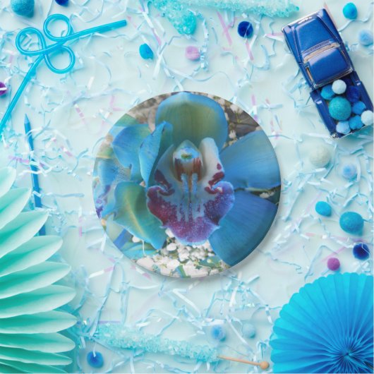 Donella Pappteller (Party)