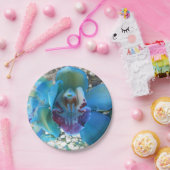 Donella Pappteller (Party)