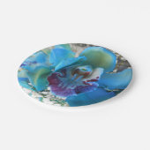 Donella Pappteller (Schrägansicht)