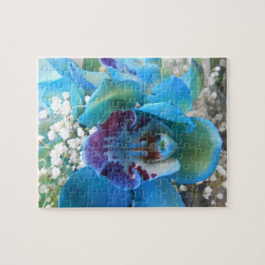 Donella Puzzle (Horizontal)