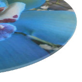 Donella Schneidebrett (Ecke)