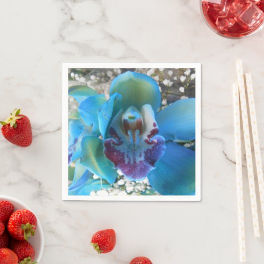 Donella Serviette (Beispiel)