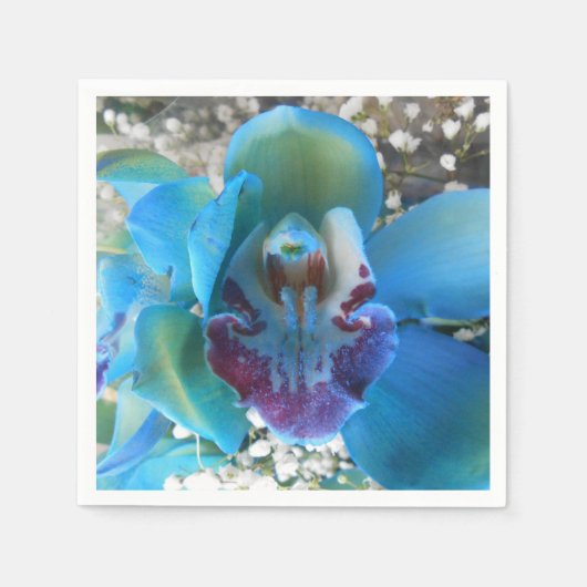 Donella Serviette (Vorderseite)