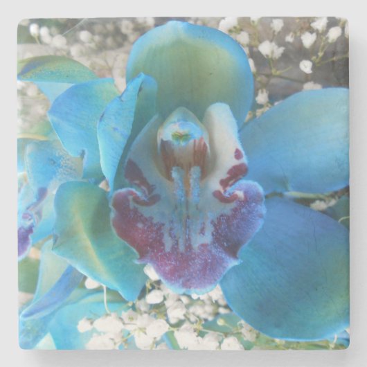 Donella Steinuntersetzer (Vorderseite)