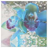 Donella Stoff (Nahaufnahme)