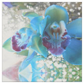 Donella Stoff (Nahaufnahme)