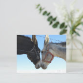 Donk in der Nähe Postkarte (Stehend Vorderseite)