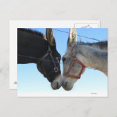 Donk in der Nähe Postkarte (Vorne/Hinten)