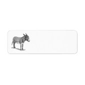 Donkey (Vorne)
