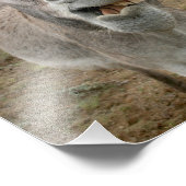 Donkey-Albernes Gesicht Fotodruck (Ecke)